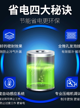 澳柯玛四门厨房冰箱商用全冷冻冰柜大容量速冷冻六开门大型立式
