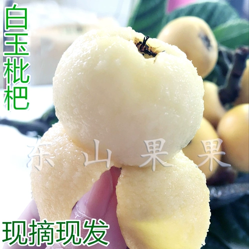 Suzhou Dongshan Baiyu белый песчаный фрукты Стандарт свежие фрукты свежие фрукты Pipa non -blue rice mi yitang Qi