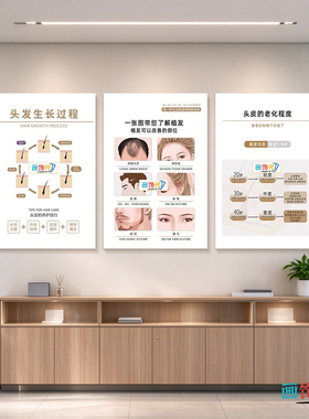 脱发等级装饰画生发养发植发挂画白转黑康养图防脱发海报头皮养护