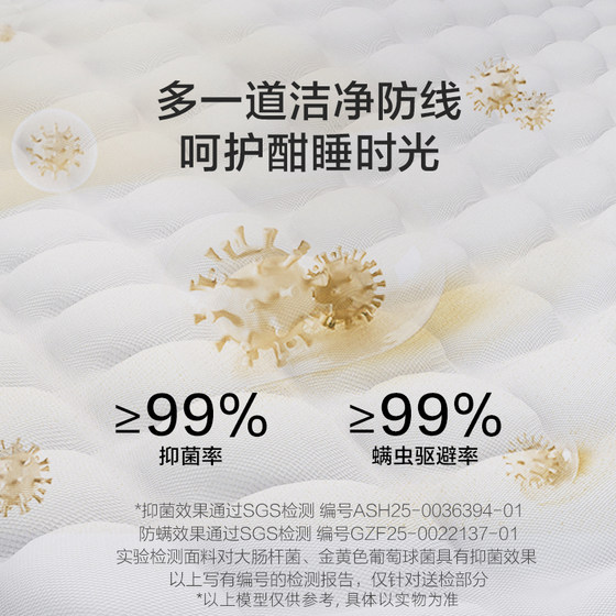Manman Max + Manman Pro + Manman Hit Xilinmen Latex Single Pocket Spring Mattress