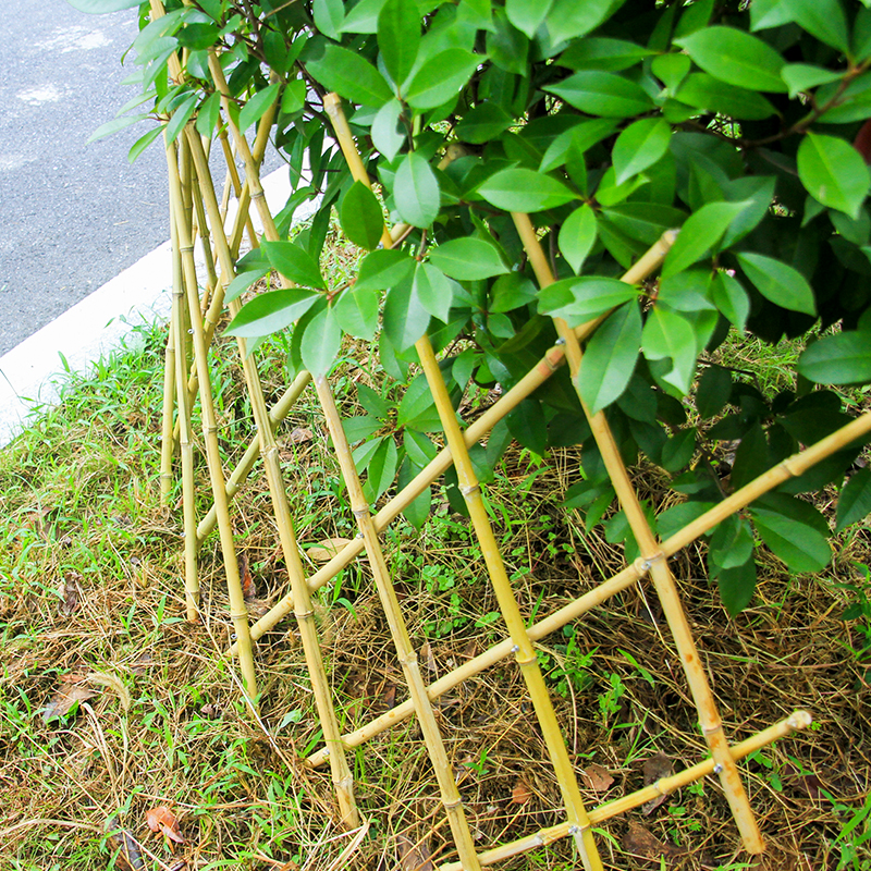 伸缩竹篱笆围墙护栏围栏栅栏菜园室外庭院花架花园户外简约爬藤架-图1