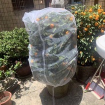 Fruit Tree Pest-Proof Nets Bag Bird-proof Nets Agricultural Vegetables Anti-Bug Nets of Fruits Cherry multimeat anti-insect bird nets