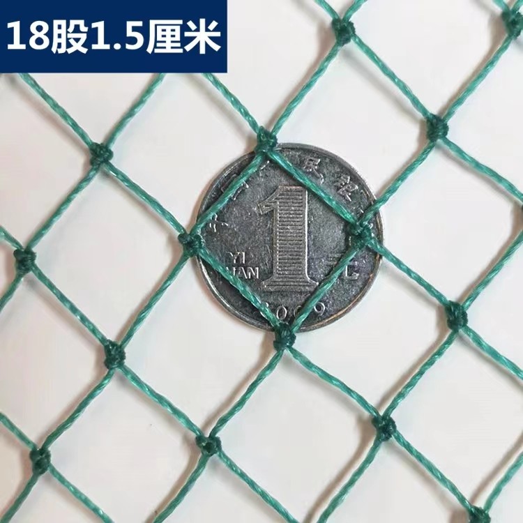 户外加粗养殖网防鸟网养鸡网养鸟小孔两指鸽子鸡苗尼龙绿色软网,淘宝优惠券,粉丝福利购,淘宝优惠卷