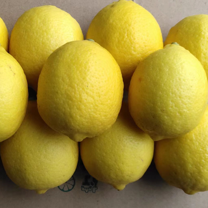 安岳尤力克黄柠檬新鲜果园直发双胞胎5斤装柠檬皮薄汁多包邮-图0
