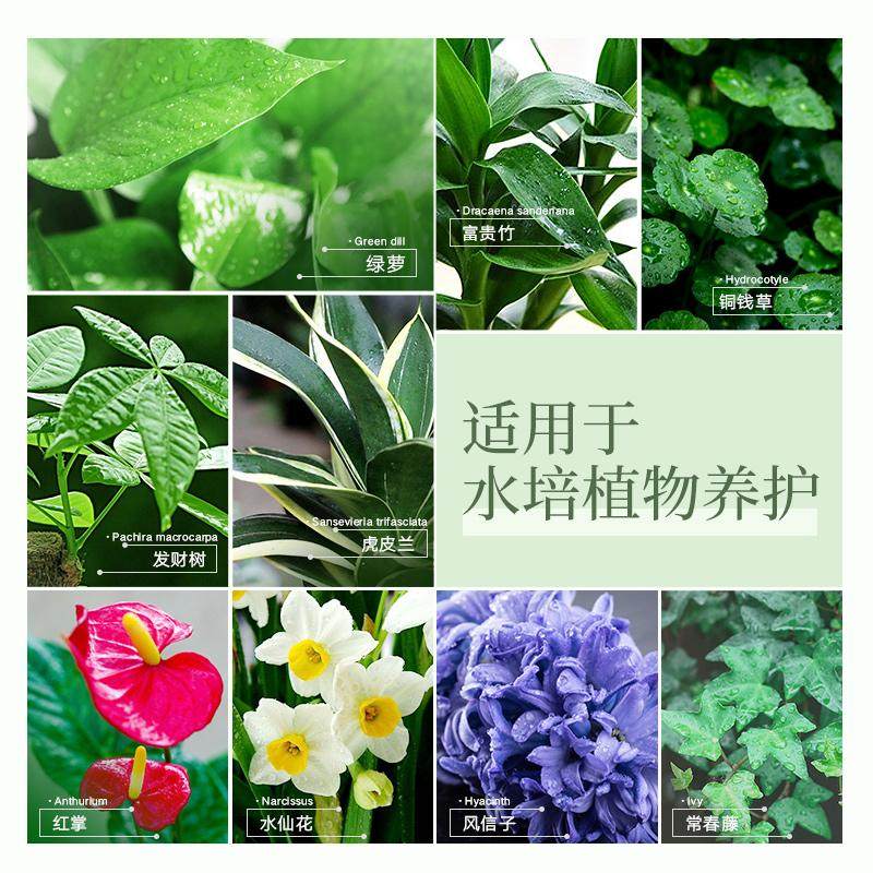 史丹利铜钱草营养液专用肥养水培植物肥料水溶肥植物养花家用盆栽,淘宝优惠券,粉丝福利购,淘宝优惠卷