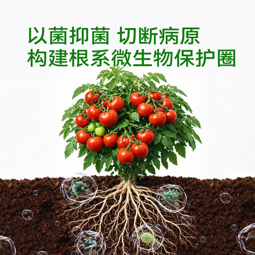 史丹利枯草芽孢菌杆菌正品微生物菌剂芽孢杆菌官方旗舰店兰花专用 - 图2