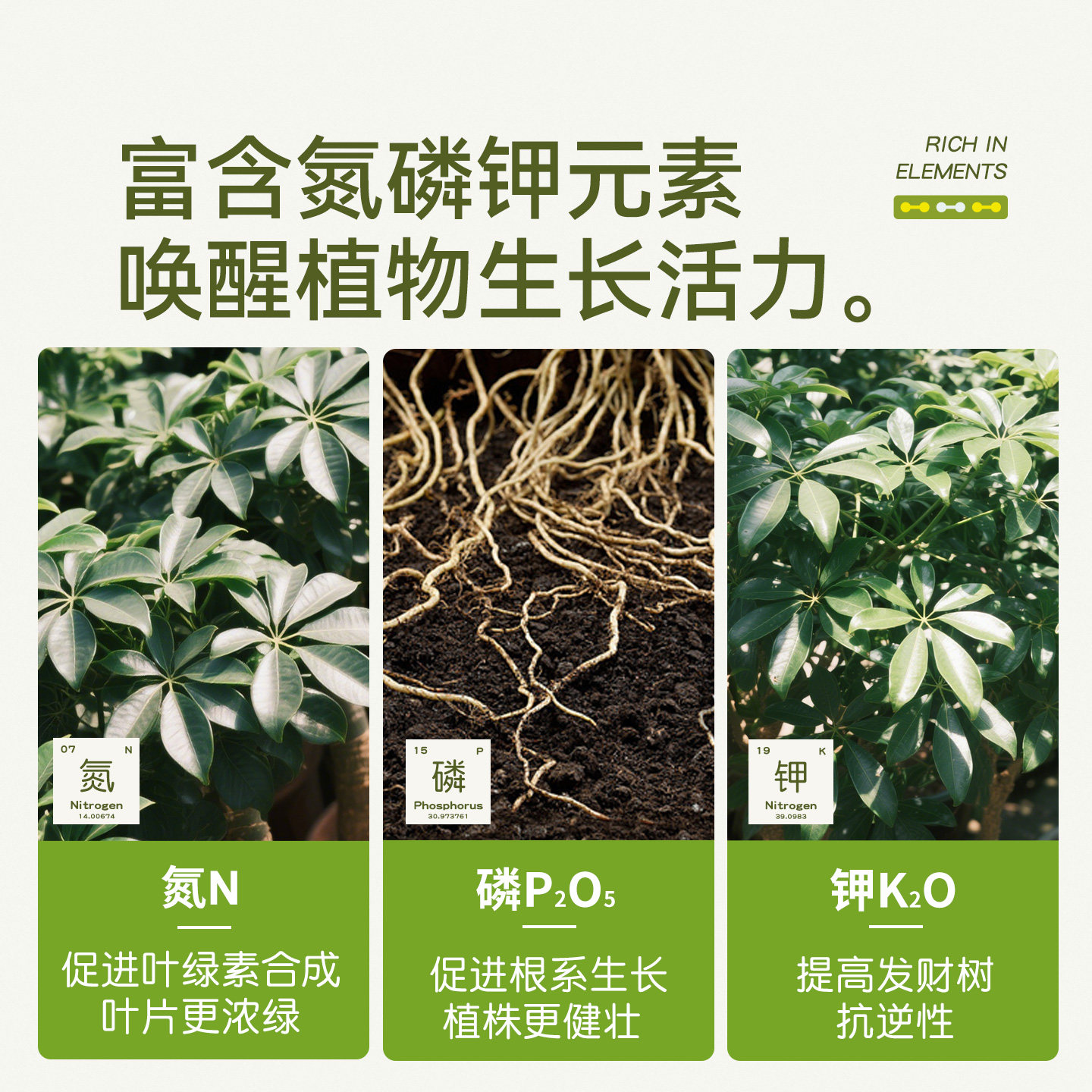 史丹利发财树专用肥营养液植物黄叶烂根再生盆栽花剂有机复合肥料,淘宝优惠券,粉丝福利购,淘宝优惠卷