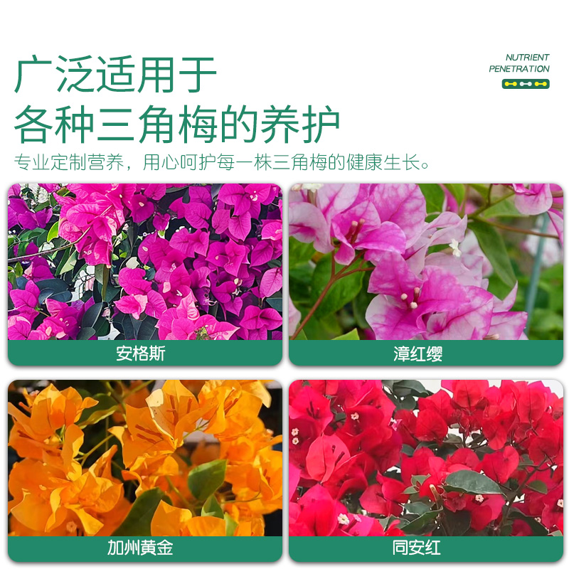 商品详情图片