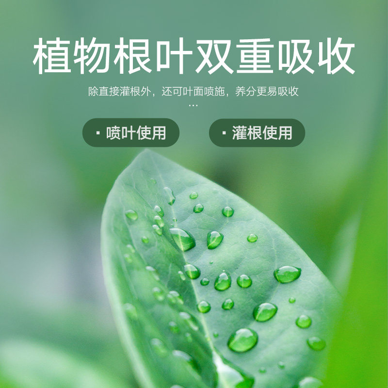 史丹利罗汉松肥料专用肥营养液盆栽泰山松雀舌四季松树盆景复合肥,淘宝优惠券,粉丝福利购,淘宝优惠卷