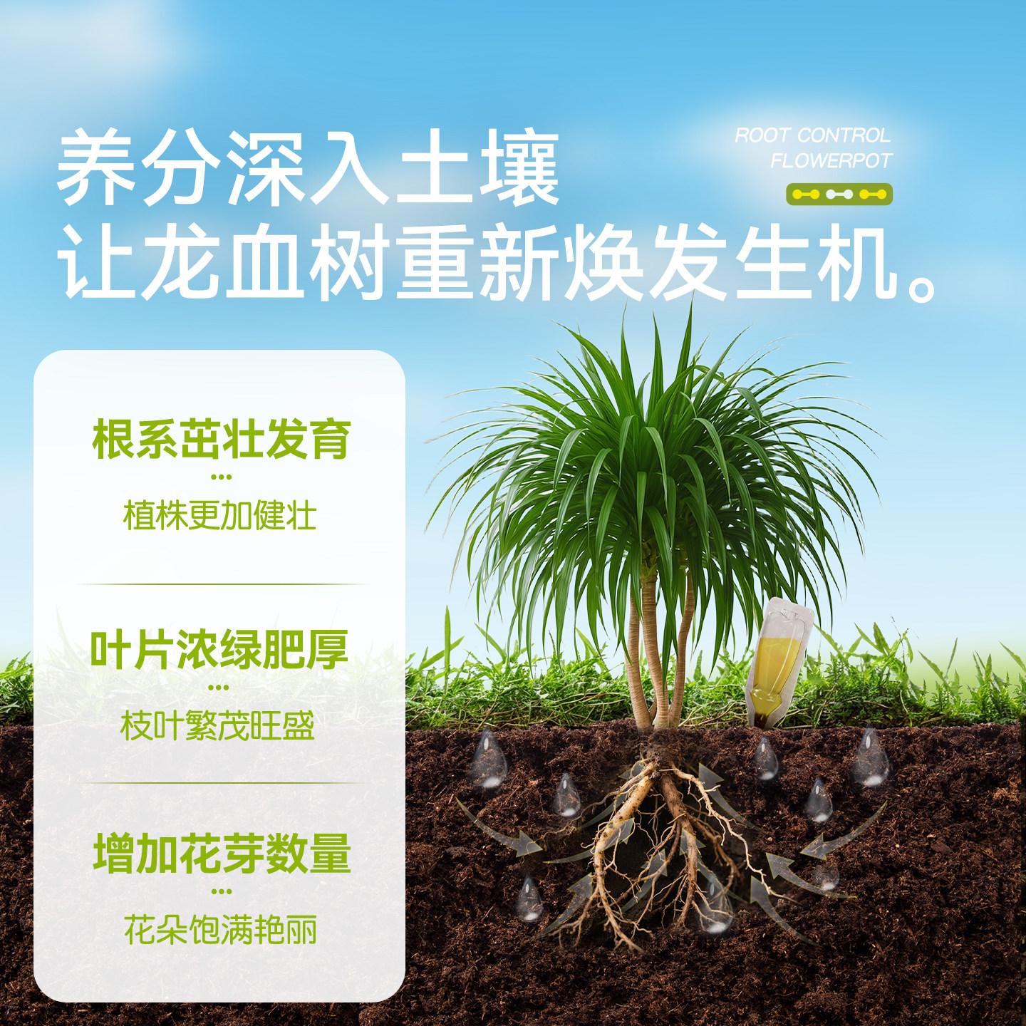 史丹利龙血树专用营养液植物促生剂再生黄叶烂根盆栽绿植复合肥料,淘宝优惠券,粉丝福利购,淘宝优惠卷