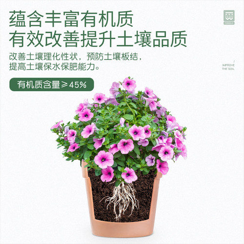 史丹利羊粪发酵有机肥内蒙古养花专用肥料腐熟纯羊粪颗粒干羊粪蛋 - 图2