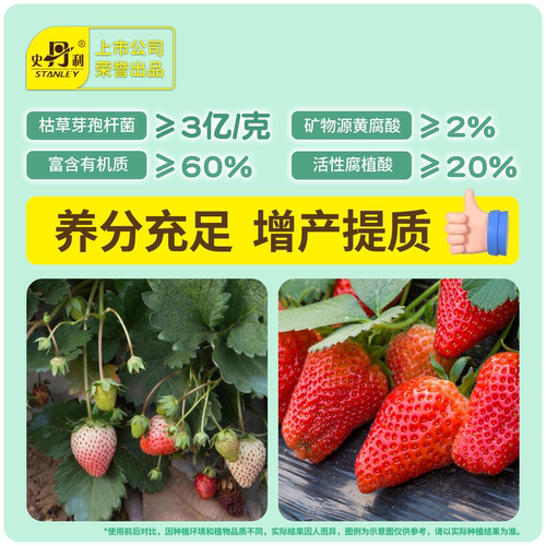 史丹利枯草芽孢杆菌生物有机肥微生物菌剂复合肥料蔬菜用兰花桂花 - 图3