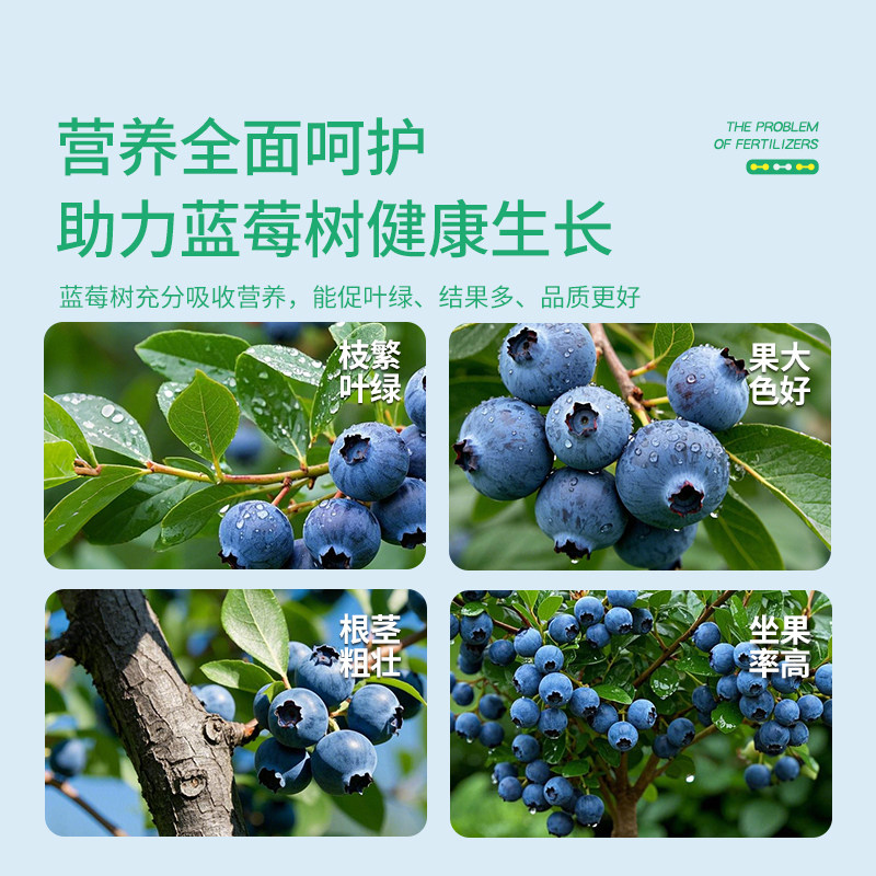 史丹利蓝莓专用肥料营养液盆栽种植蓝莓树酸性水溶肥有机复合肥料,淘宝优惠券,粉丝福利购,淘宝优惠卷