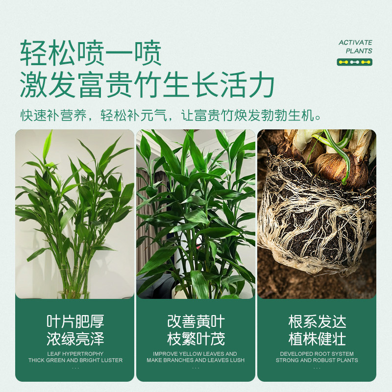 史丹利养富贵竹专用营养液免稀释专治黄叶生根转运竹龙竹液体肥料,淘宝优惠券,粉丝福利购,淘宝优惠卷