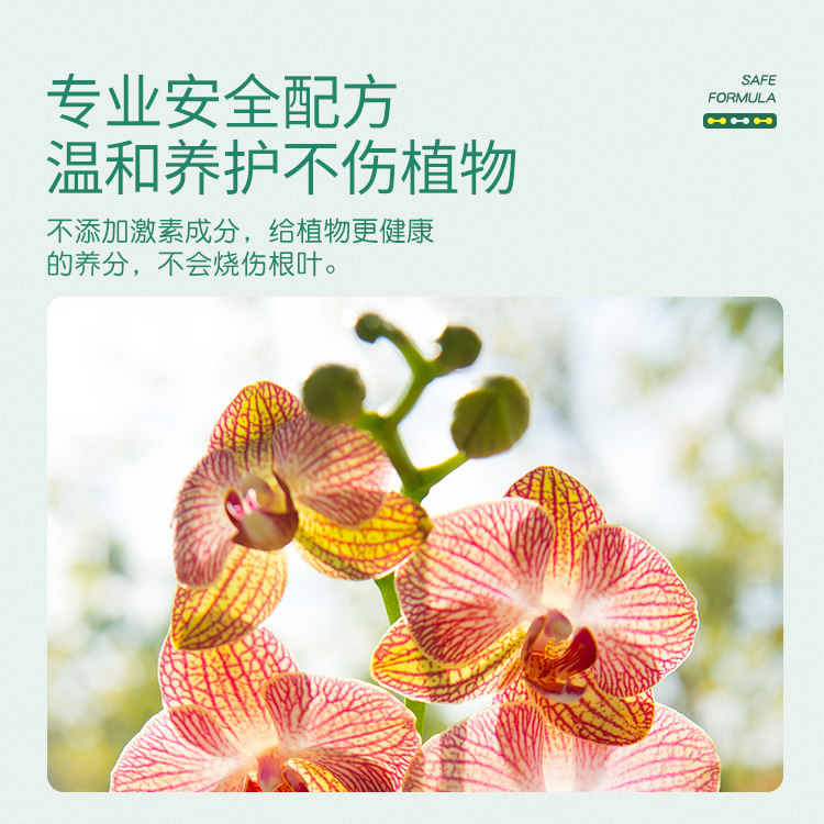 史丹利绿萝专用肥料营养液免稀释绿萝绿箩家用植物水培盆栽复合肥,淘宝优惠券,粉丝福利购,淘宝优惠卷