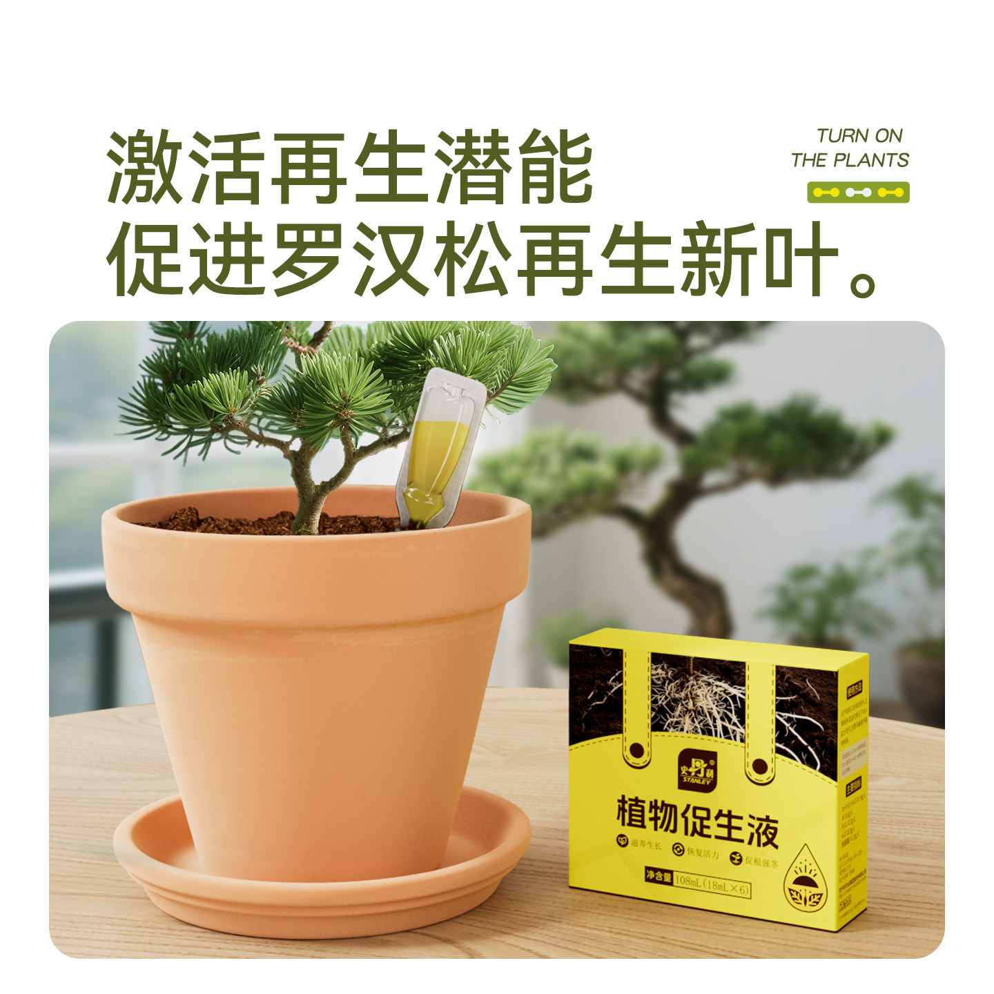 史丹利罗汉松专用肥营养液植物促生剂泰山松再生盆景通用复合肥料,淘宝优惠券,粉丝福利购,淘宝优惠卷