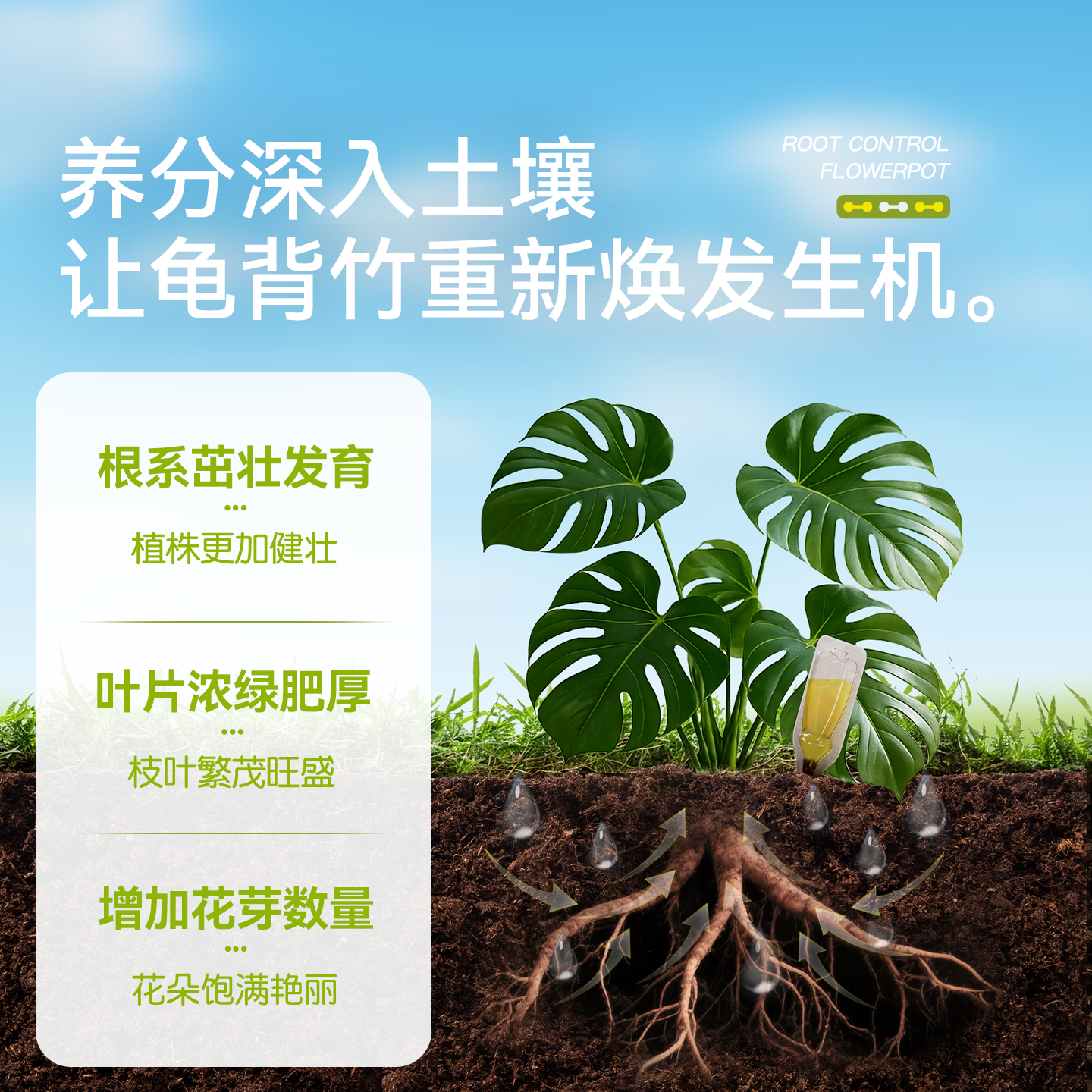 史丹利龟背竹专用肥营养液植物促生剂花肥再生室内盆栽植物通用型 - 图1