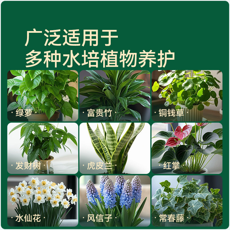 史丹利郁金香水培营养液植物专用郁金香水仙花室内盆栽通用型肥料,淘宝优惠券,粉丝福利购,淘宝优惠卷
