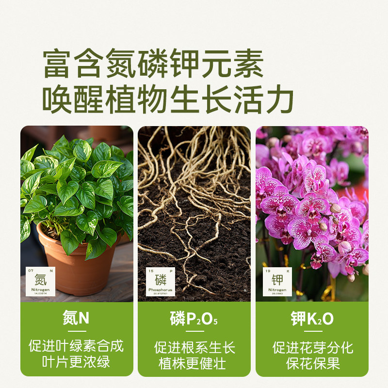 史丹利菊花专用肥植物再生营养液剂烂根生长盆栽种植有机开花肥料,淘宝优惠券,粉丝福利购,淘宝优惠卷