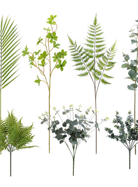 桉树叶尤加利金钱植物摆件仿真花