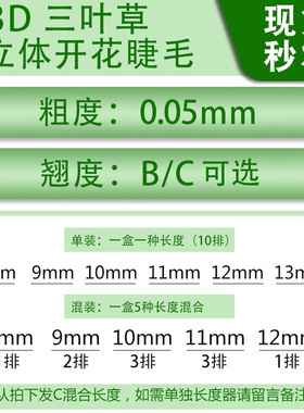 三叶草水貂毛开花嫁接睫毛