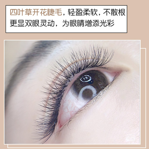 四叶草嫁接睫毛 Y型升级立体开花4D仙朵三叶草超软不散跟浓密单根 - 图0