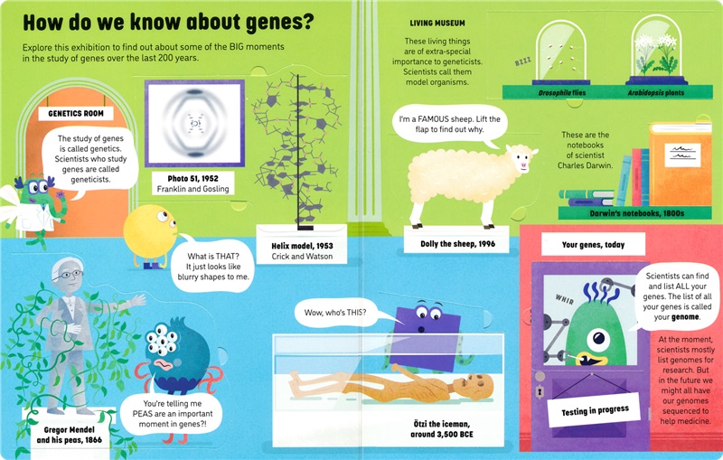 Usborne See Inside Genes and DNA 尤斯伯恩 看里面揭秘系列 基因和DNA 儿童科普 少儿百科入门翻翻书 课外读物 英文原版进口图书 - 图1