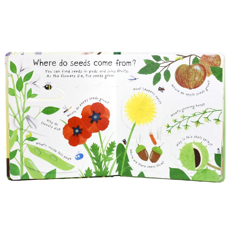 Usborne Lift-the-flap Questions and Answers How Do Flowers Grow?尤斯伯恩花朵的生长儿童科普问与答翻翻立体书英文原版-图1