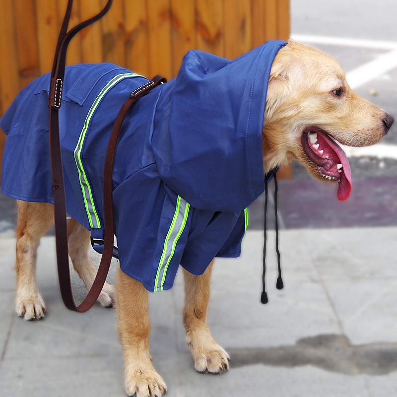 狗狗雨衣金毛萨摩中大型犬雨披泰迪贵宾博美小型犬防水服狗狗衣服 - 图0