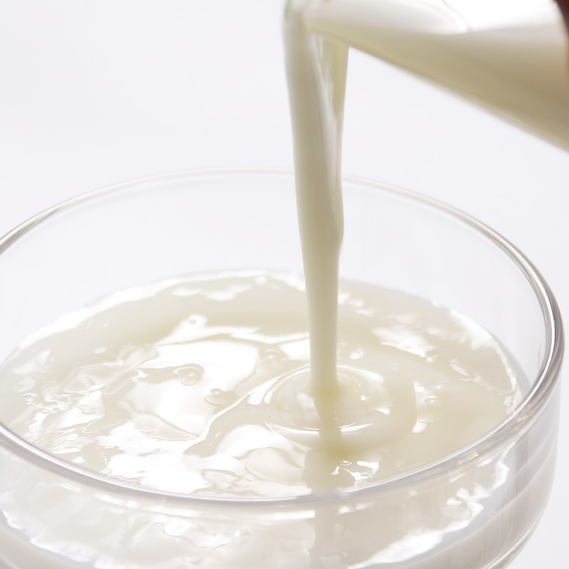 比逗仕酸奶的秘密儿童休闲牛奶风味饮品DHA藻油乳铁蛋白乳酸饮料-图1