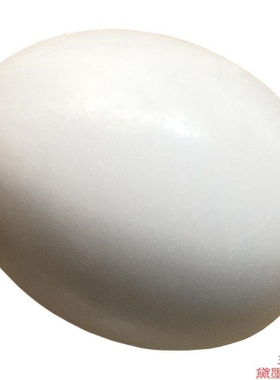 鸡蛋鸟类沙盘皮皮配件DIY恐龙蛋玉假具仿真实心蛋文鸟假引摆件