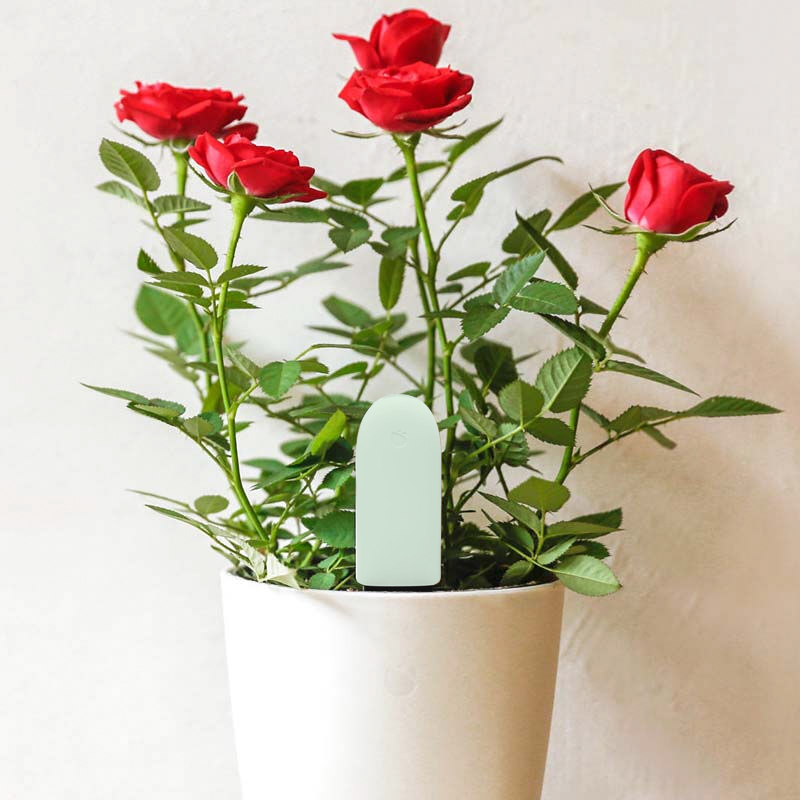 花花草草检测仪三代加强版智能监测植物盆栽花卉兰花土壤温度计光照水份肥力肥国际版国内版