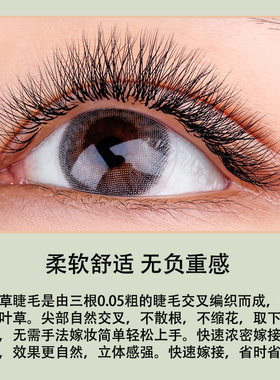 圣菲纳嫁接三叶草睫毛美容院美睫店专用混装C翘3D仙女款开花0.05
