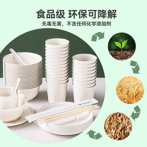 户外一次性餐具三件套碗筷套装稻壳野餐露营餐盘子菜碟食品级家用 - 图0
