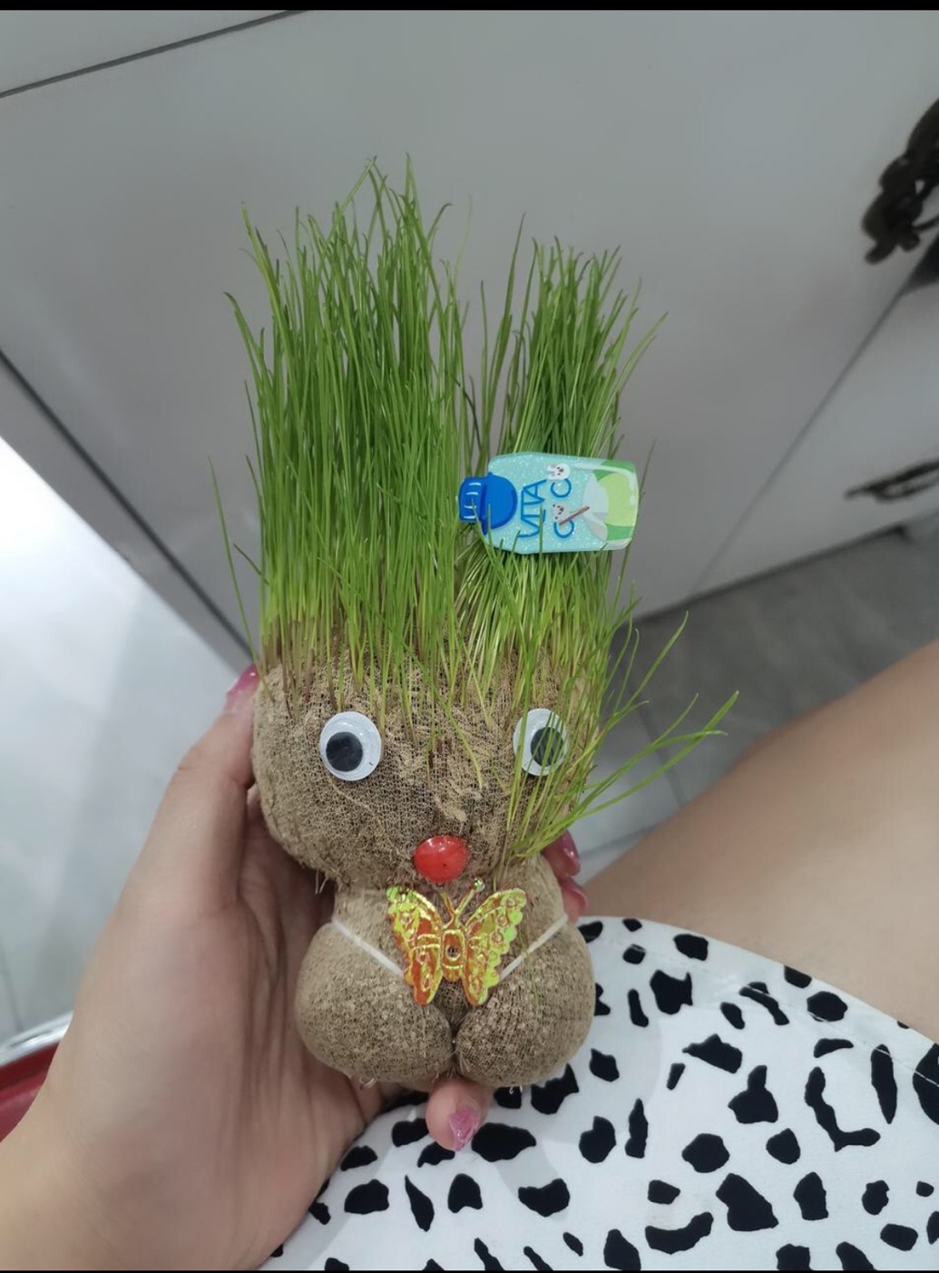 抖音同款长草娃娃盆栽草头娃娃创意diy绿植 热品库 性价比省钱购 抖音同款长草娃娃盆栽草头娃娃创意diy绿植 热品库 性价比省钱购