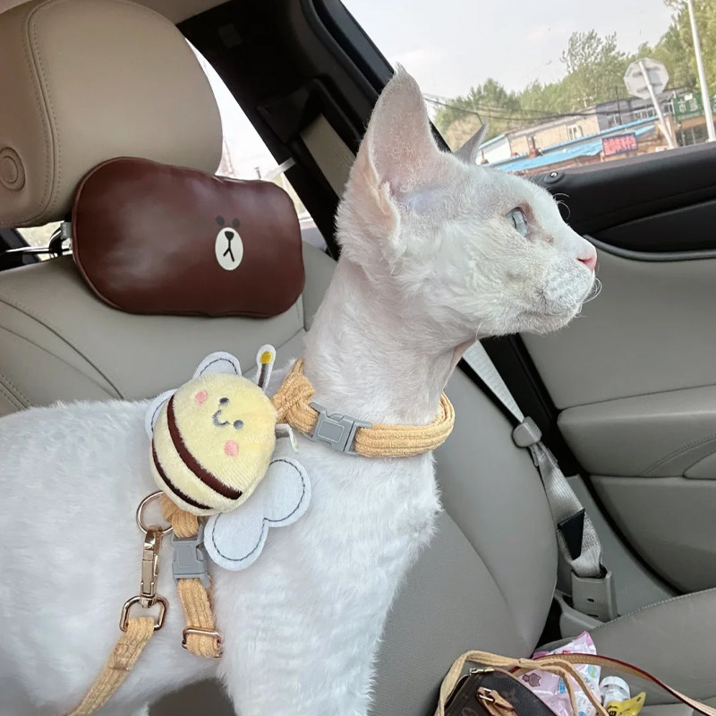 德文牵引绳卷毛猫外出专用防挣脱工字无毛猫溜绳子斯芬克斯小猫咪,淘宝优惠券,粉丝福利购,淘宝优惠卷