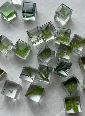 送朋友礼物小红书同款手工滴胶植物方块成品立体标本永生花摆件