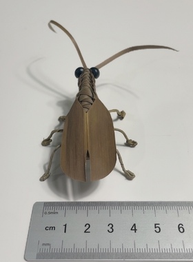 棕编工艺品长沙非遗文传统化手工