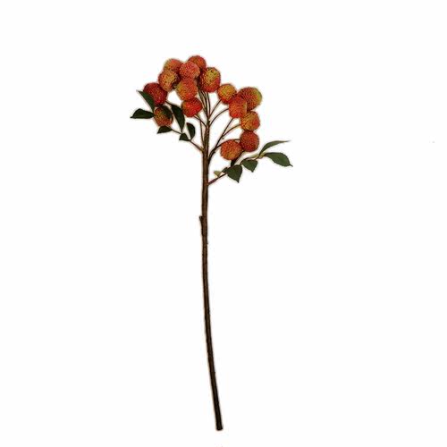 高仿真荔枝励志果实枝条植物插花艺术装饰田园客厅橱窗新年花艺 - 图3