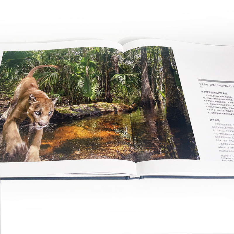 万物有灵 国际野生生物摄影年赛第55届获奖作品 歌颂地球生命与自然之美 环保主题艺术摄影集册书籍 后浪正版