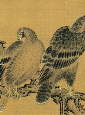 临摹花鸟画画稿沈铨百鸟朝凤图