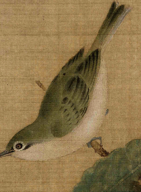 花鸟画临摹画稿北宋林椿枇杷花鸟