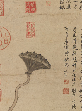 赵孟頫临黄荃莲塘图临摹画稿范本