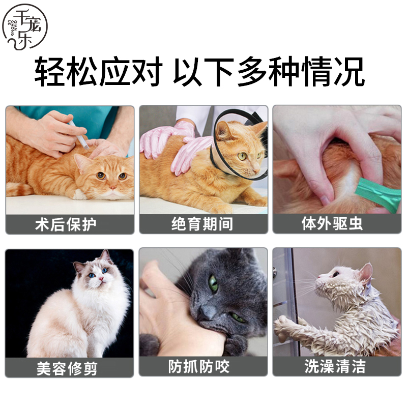 千宠乐伊丽莎白圈猫咪项圈脖套防舔咬圈术后防抓头套绝育耻辱圈-图0