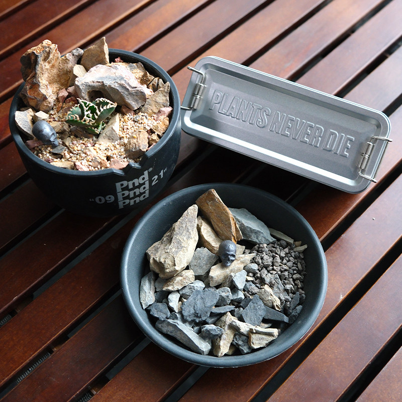 pnd造景石组风化石铺面石天然石材沙生多肉块根植物铺面鹅卵石,淘宝优惠券,粉丝福利购,淘宝优惠卷