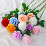 Фальшивый фальшивый фальшивый цветок симуляция цветок цветочный цветок цветок цветочный цветок вставка