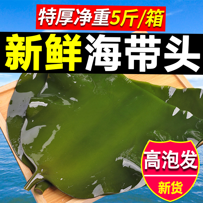 海带头新鲜盐渍海带根特厚昆布头荣成海带片半干货餐饮商用5斤装 - 图0