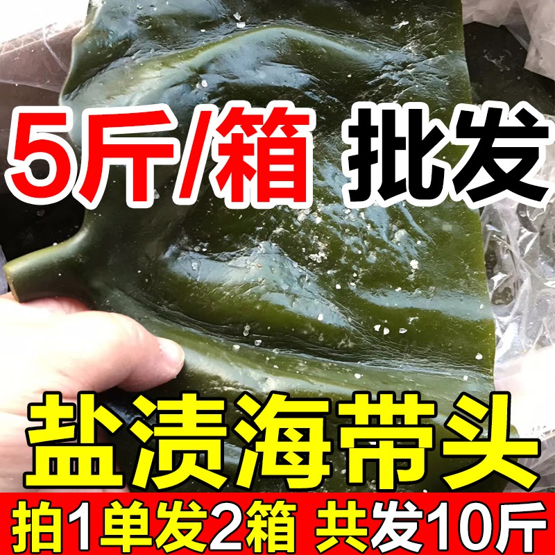 海带头新鲜盐渍海带根特厚昆布头荣成海带片半干货餐饮商用5斤装 - 图1