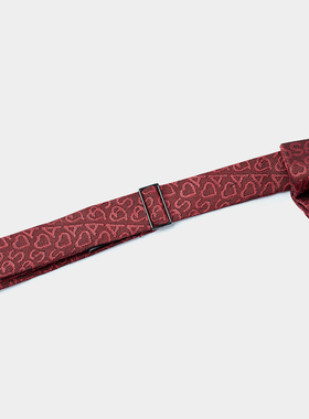 报喜鸟2024春季新款男