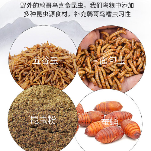 鹩哥鸟食饲料开元牌鸟食桶装精品鹩哥八哥专用营养鸟饲料全价鸟粮 - 图0